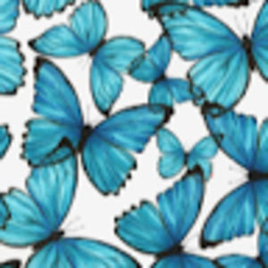 Meet your Posher, Abigail